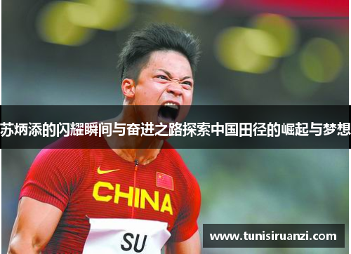 苏炳添的闪耀瞬间与奋进之路探索中国田径的崛起与梦想